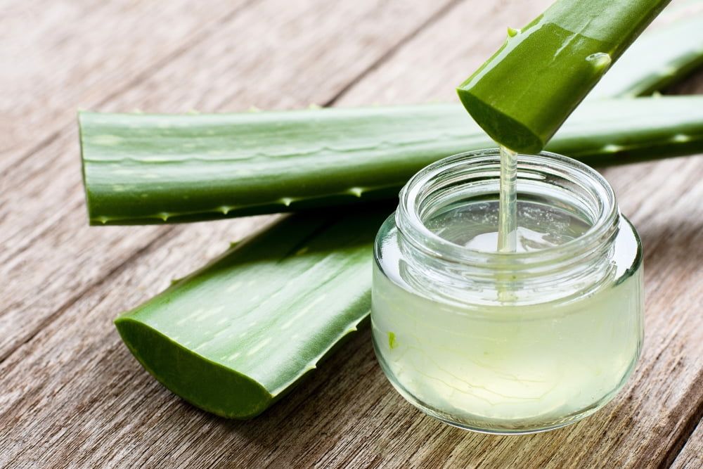 Aloe Vera - Queen of Medicinal Plants