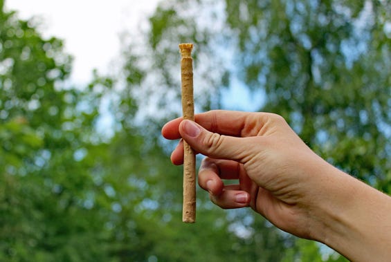Miswak - die älteste Zahnbürste der Welt