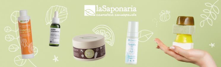 Marken / La Saponaria