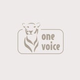 Certificado One Voice