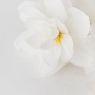 Natürliche Körperpflege & Kosmetikartikel - Ecco Verde Onlineshop