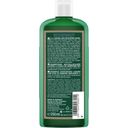 LOGONA Shampoo Antiforfora  - 250 ml