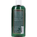 LOGONA Age Energy šampon - 250 ml