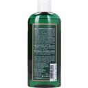 LOGONA Negovalni šampon  - 250 ml