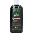LOGONA Šampon za nego barvanih las - rjavo-čr - 250 ml