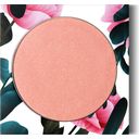 PHB Ethical Beauty Blush - Blossom