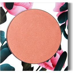 PHB Ethical Beauty Blush