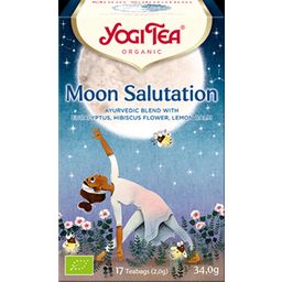 Moon Salutation Bio tea - 17 teafilter
