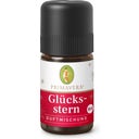 PRIMAVERA Glücksstern Duftmischung bio - 5 ml