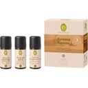 PRIMAVERA Set Aroma Sauna Kraft & Ruhe bio - 1 Set