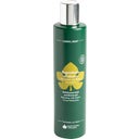 Biofficina Toscana Душ гел Immortelle - 250 мл