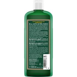 LOGONA Šampón pre objem vlasov  - 500 ml