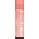 Tinted Lip Balm, Zinnia (4.25)