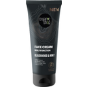 MEN Multifunction Face Cream Blackwood & Mint, 75 ml