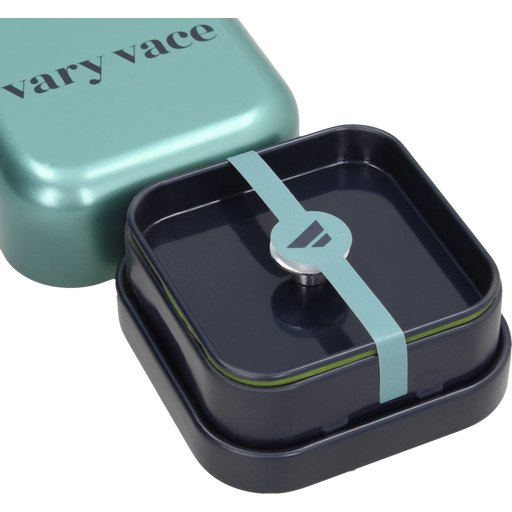 vary vace Foundation - Virginia