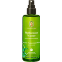 PRIMAVERA Agua de menta - 100 ml