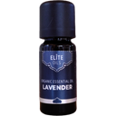 Huile Essentielle de Lavande Bio ELITE, 10 ml