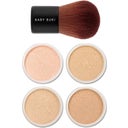 Lily Lolo Starter Collection - Medium