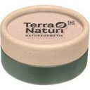 Terra Naturi Mono szemhéjfesték - Shine - 01 - light