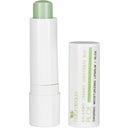 Aloe Lip Balm, 4,80 g