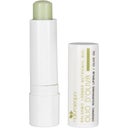 Natura Equa Lippenbalsem Olijf - 4,80 g