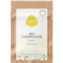 Organic Ginger Toothpowder, 8 g