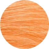 Emblica Coloration V&eacute;g&eacute;tale N&deg;7.3 Blond Ambr&eacute;