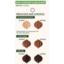 Emblica Herbal Hair Dye Light Brown 5.1