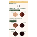 Herbal Hair Dye Deep Dark Chestnut Brown 3.0