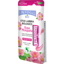 Rosa Mosqueta Stick Labbra Biologico Effetto Gloss - 5,50 ml