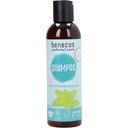 benecos Melissa & Nettle Natural Shampoo - 200 ml