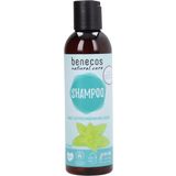 benecos Melissa & Nettle Natural Shampoo