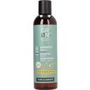 GRN [GRÜN] Volume Shampoo Beer & Honey & Hemp - 250 ml