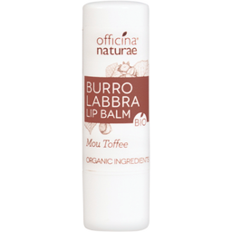 Officina Naturae Organic Protective Lip Balm Toffee - 5 g