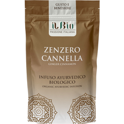 Infusion Ayurvédique Bio - Gingembre Cannelle - 40 g