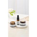 The Age-Defyers - Rejuvenating Facial Routine - 1 setti