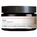 Evolve Organic Beauty Lip Treat - 15 мл