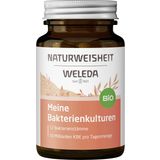 Bio prehransko dopolnilo z bakterijskimi kulturami - Bio Naturweisheit "Meine Bakterienkulturen"