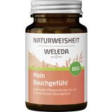 Prehransko dopolnilo za podporo prebavi - Bio Naturweisheit "Mein Bauchgefühl"