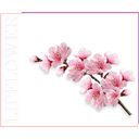 Shaoyun Lip Flower Perzikbloesem Nr. 182 - 3,60 g