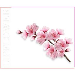 Shaoyun Lip Flower Perzikbloesem Nr. 182 - 3,60 g