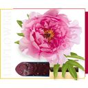 Shaoyun Lip Flower piwonia - nr 192 - 3,60 g