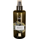 Tadé Pays du Levant Hydrolat d'Immortelle