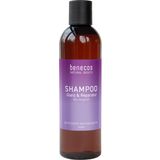 benecos Natural Basics Shampoo blask i odbudowa