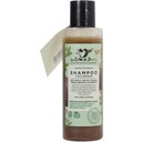 Le Erbe di Janas Shampoo Feige & Mastix - 150 ml