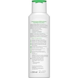 Lavera Verzorgende Shampoo - Frisheid & Balans - 250 ml