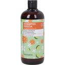 Family 2in1 šampon i gel za tuširanje - Cvijet naranče i bergamot - 500 ml