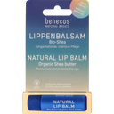 Benecos Natural Basics balzam za ustnice - 4,70 g