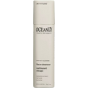 Attitude Oceanly PHYTO-CLEANSE Face Cleanser - 30 g
