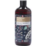 Family sprchový gel a šampon 2v1 - zimní edice